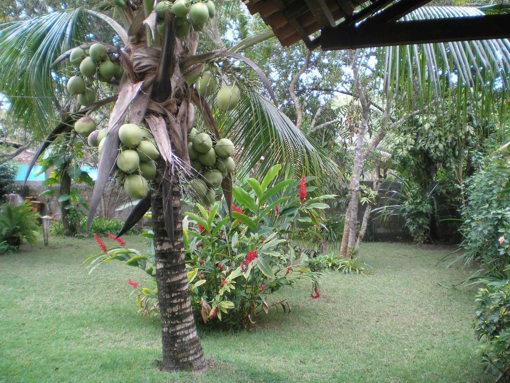 Casa Da Duda Villa Porto Seguro Room photo
